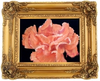 oil painting of a Carnations flower for sale Pomona CA 91766