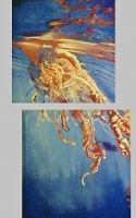 acrylic painting of a pink jellyfish for sale Pomona CA 91766